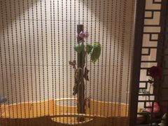 -汤泉良子.足疗按摩.SPA(中关村店)