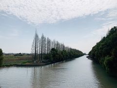 -嘉北郊野公园北游客中心-地上停车场