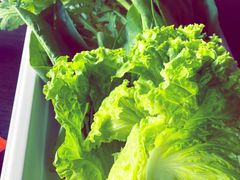 -滇釜火锅·能喝汤的火锅(车公庄店)