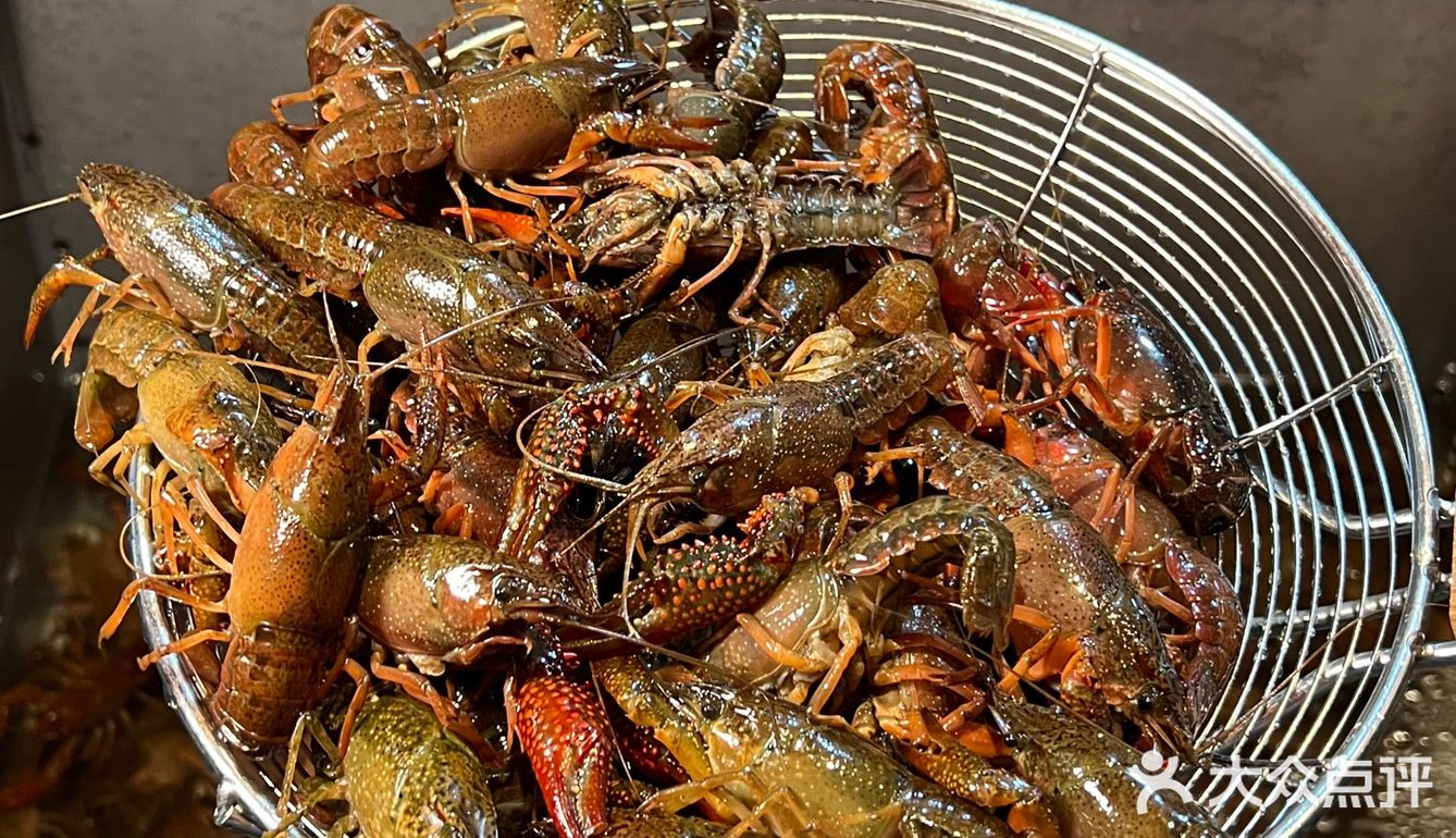 拙味兄弟龙虾🦞开到北仑啦！金汤蒜泥味绝了！