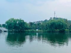 -绍兴镜湖国家城市湿地公园
