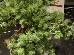 -经禅和·中医推拿(百家湖店)