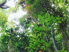 -七仙岭温泉国家森林公园