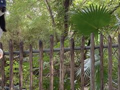 -深圳野生动物园