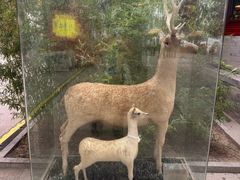 -仿膳饭庄·宫廷风味(百年传承店)