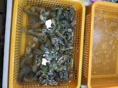 -老字号蛇口德记烧腊饭店·海鲜加工