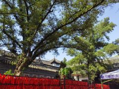 -宝光寺