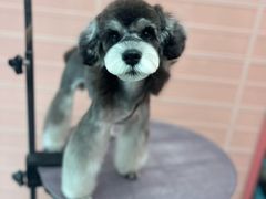 -FAELING PETS美天灵宠物(合生汇店)