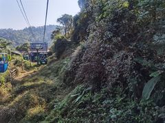 -野象谷景区