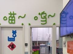 -纳吉亚猫专科动物医院·北北分院
