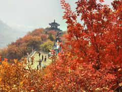 -狼牙山风景区