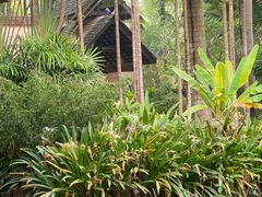 -西双版纳洲际度假酒店兰吧