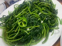-苏记农家菜馆