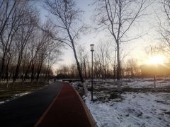 -大兴滨河森林公园