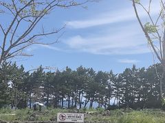 -柱状节理带