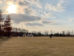 -上海长兴岛郊野公园