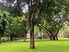 -晓港公园