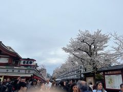 -浅草寺