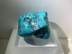 -重庆自然博物馆(新馆)