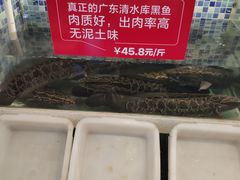 -立标杆麻辣鱼(宝龙广场店)