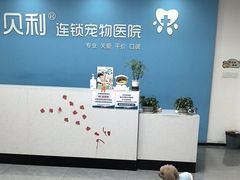 -贝利宠物医院·骨科·眼科·肿瘤转诊中心(南坪诊疗中心)
