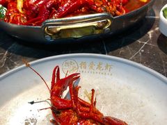 十三香龙虾-指爱龙虾(金杨路总店)