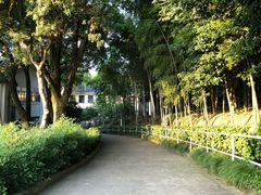 -上海市保健医疗中心(华东疗养院)