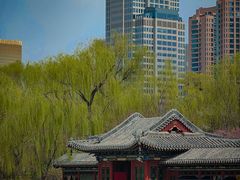 -迎泽公园