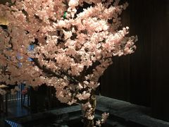 -提香日本料理
