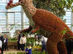 -沈阳植物园