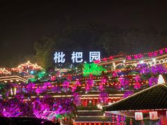 -枇杷园食为鲜火锅(南山店)