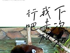 -哈尔滨极地公园