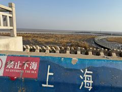 -南汇嘴观海公园