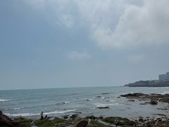 -青岛海景花园大酒店·白果树餐厅青岛菜