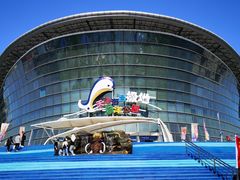 -海合安天津极地海洋公园