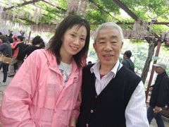 -嘉定紫藤园