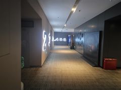 -汉阳天河电影城(王家湾店)