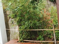 -终南山南五台景区