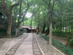 -兰亭风景区