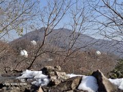 -紫金山天文台