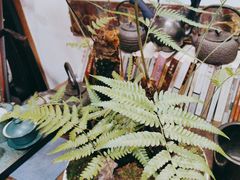 -道南書院·私房菜·早午茶·茶馆