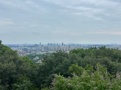 -灵岩山风景区
