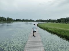 -塞罕坝国家级自然保护区