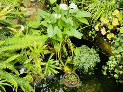 -国家植物园南园