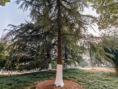 -西北湖绿化广场