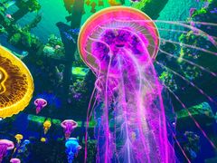 -海合安成都极地海洋公园