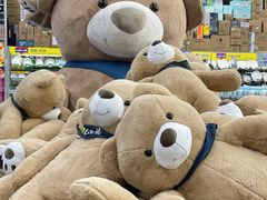 -麦德龙(郑东店)