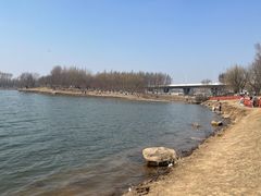 -丁香湖公园