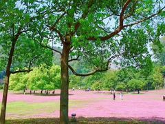 -福建鲤鱼洲酒店