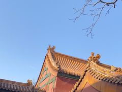 -故宫博物院(故宫)